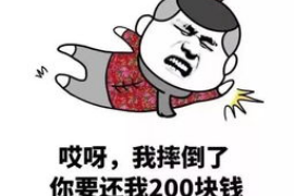 黔东南企业清欠服务